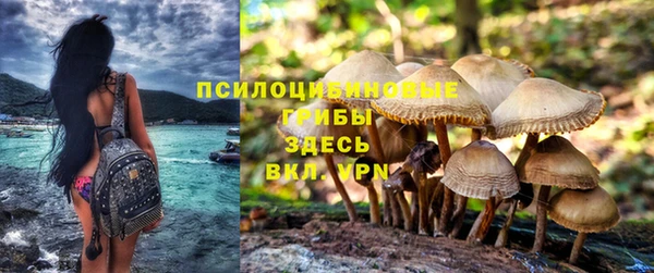 тгк Кострома
