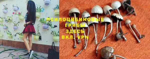 амф Мурманск